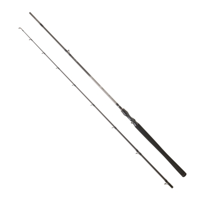 Daiwa Exceler EF 196 cm 5-21 gr Tetikli Spin Kamış - 1