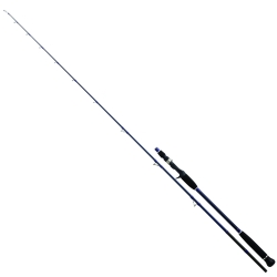 Daiwa Exceler Oceano 198 cm Max 250 gr Tetikli Jig Kamış - Daiwa