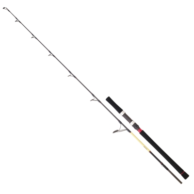 Daiwa Grandwave 168 cm 100-300 gr Jig Kamış - 1