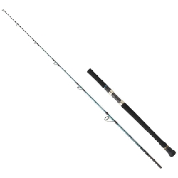 Daiwa Grandwave 168 cm 100-300 gr Jig Kamış - Daiwa