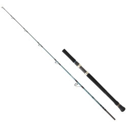 Daiwa Grandwave 168 cm 15-50 gr Jig Kamış - Daiwa