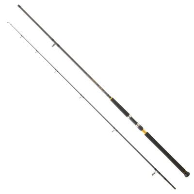 Daiwa Legalis CF 290 cm 28-84 gr Shore Jig Kamış - 1