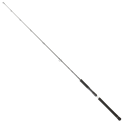 Daiwa Legalis Oceano JG 173 cm 100-300 gr Jig Kamış - Daiwa