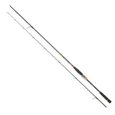 Daiwa Morethan Branzino Expert AGS 251 cm 7-28 gr Spin Kamış - 1
