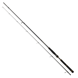 Daiwa New BG Seabass 250 cm 10-35 gr Spin Kamış - Daiwa