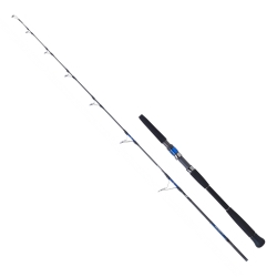 Daiwa Saltiga Hiramasa 173 cm 90-210 gr Jig Kamış - Daiwa