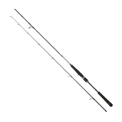 Daiwa Saltist Seabass BF 244 cm 7-28 gr Spin Kamış - 1