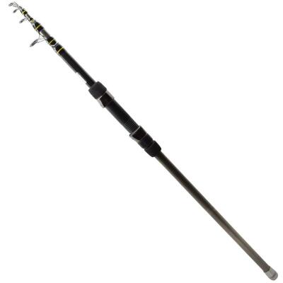 Remixon Heavy Duty 300 cm 200-300 gr Tele Sazan Kamış - 1
