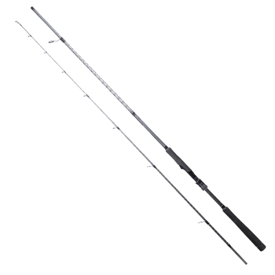 Ryuji Ares X 270 cm 9-45 gr Spin Kamış - 1
