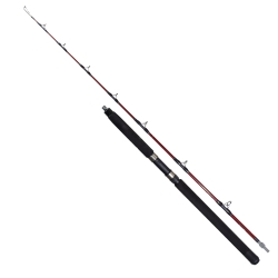 Ryuji Deep Rider 180 cm 50-80 lbs Trolling Kamış - 2