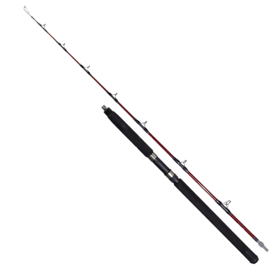 Ryuji Deep Rider 180 cm 50-80 lbs Trolling Kamış - 2