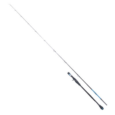 Ryuji Seahunter Fuji 206 cm 80-300 gr Tetikli Jig Kamş - 1