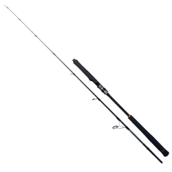 Ryuji Seawolf 198 cm 30-150 gr Jig Kamış - Ryuji