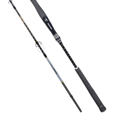 Ryuji Seawolf Plus Fuji 198 cm 30-150 gr Jig Kamış - 2