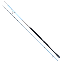 Ryuji Shore Game Fuji 285 cm 25-85 gr Shore Jig Kamış - Ryuji
