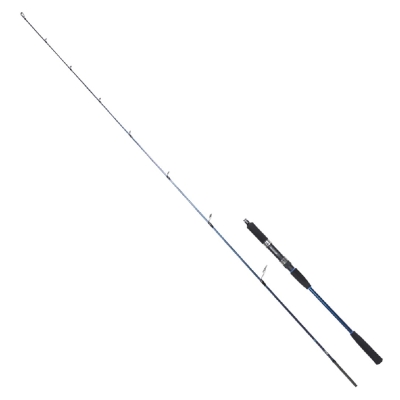 Ryuji Strobe 198 cm 20-80 gr Jig Kamış - 1