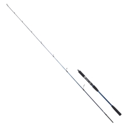 Ryuji Strobe 198 cm 20-80 gr Jig Kamış - 1