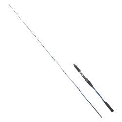 Ryuji Strobe 198 cm 20-80 gr Tetikli Jig Kamış - Ryuji