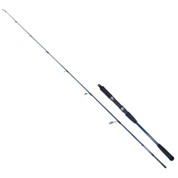 Ryuji Strobe II 198 cm 60-130 gr Jig Kamış - Ryuji
