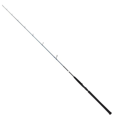 Savage Gear SGS2 180 cm 60-180 gr H Tek Parça Jigging Kamış - 1