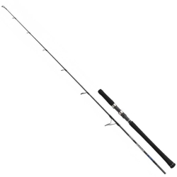 Shimano Grappler Type LJ 191 cm 40-160 gr Jig Kamış - Shimano