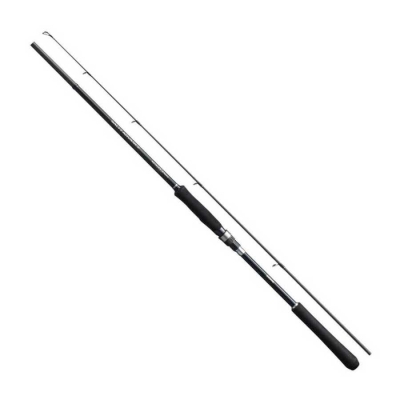 Shimano Salty Advance 305 cm Max 80 gr Shore Jig Kamış - 2