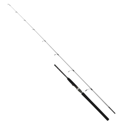 Shimano Speedmaster R 168 cm Max 250 gr Jig Kamış - 1